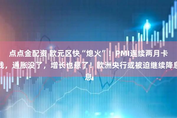 点点金配资 欧元区快“熄火”！PMI连续两月卡线，通胀没了，增长也悬了！欧洲央行或被迫继续降息