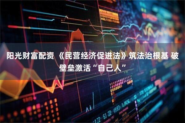 阳光财富配资 《民营经济促进法》筑法治根基 破壁垒激活“自己人”