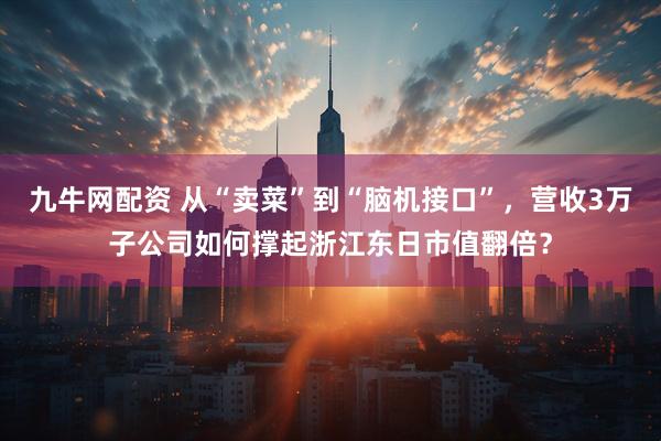 九牛网配资 从“卖菜”到“脑机接口”，营收3万子公司如何撑起浙江东日市值翻倍？