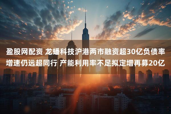 盈股网配资 龙蟠科技沪港两市融资超30亿负债率增速仍远超同行 产能利用率不足拟定增再募20亿