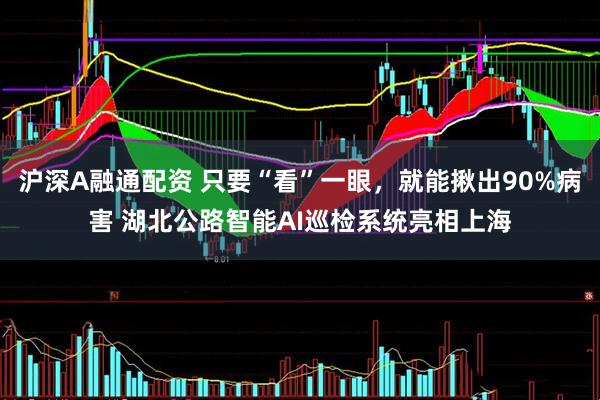 沪深A融通配资 只要“看”一眼,就能揪出90%病害 湖北公路智能AI巡检系统亮相上海