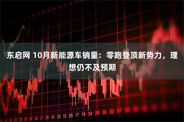 东启网 10月新能源车销量:零跑登顶新势力,理想仍不及预期